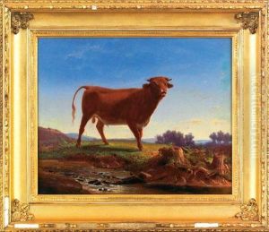 Landscape With A Bull