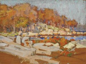 Sun Glow At The Island By The Lake. by Frederick Usher Devoll