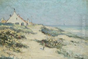 Dunes Ensolleilees Dunes Ensolleilees