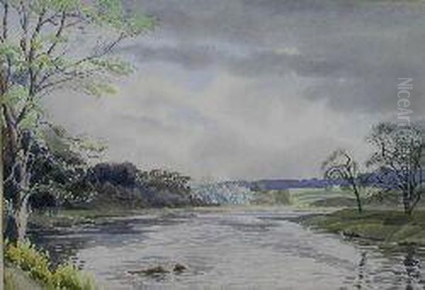 The Junction Pool, Kelso - view 1