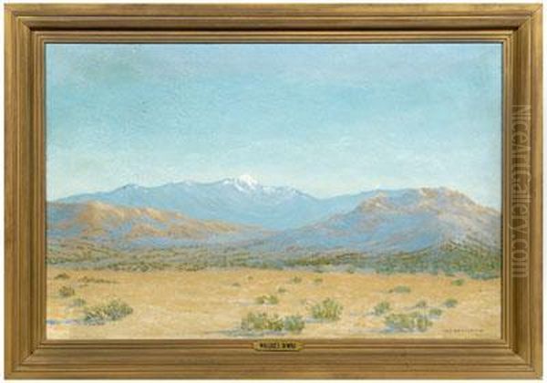Arizona Desert - view 1