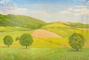 Old Vermont by Wallace Leroy Dewolf