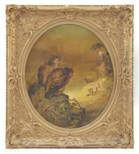 Story Of The Two Owls In Arabian Nights