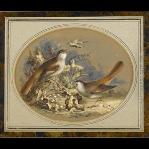 Bird Study by William Dexter