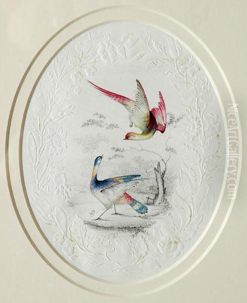 Pheasants - view 1