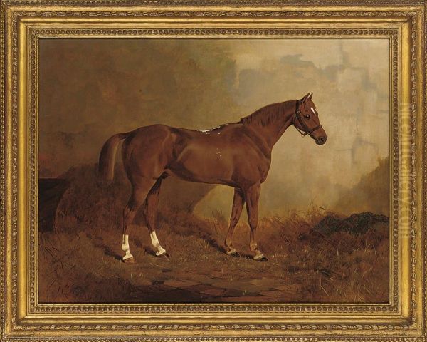 Yellow Jack In A Stable - view 1