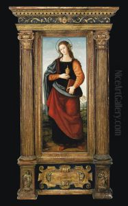 Maddalena