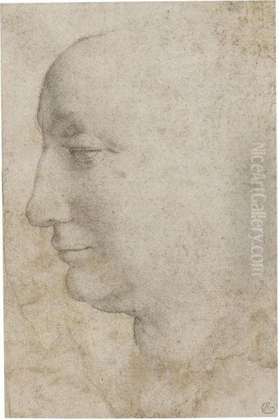 Head Of A Woman Seen In Profile, Looking To The Left - view 1
