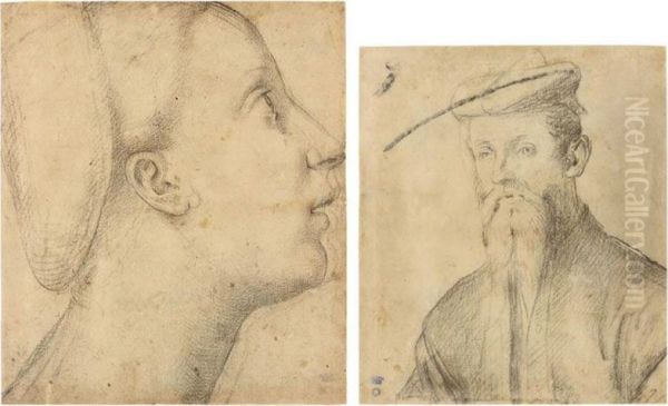 Head Of A Woman In Profile - view 1