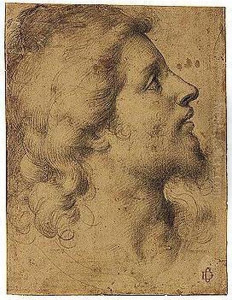 Head Of A Young Man, In Profile - view 1