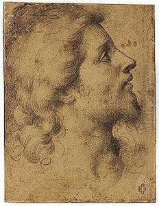 Head Of A Young Man, In Profile