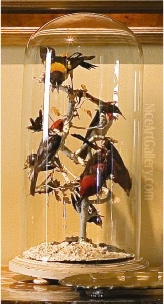 [two Stuffed Bird Compositions Within A Glass Bell] - view 1