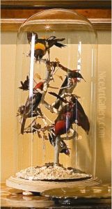 [two Stuffed Bird Compositions Within A Glass Bell] thumbnail