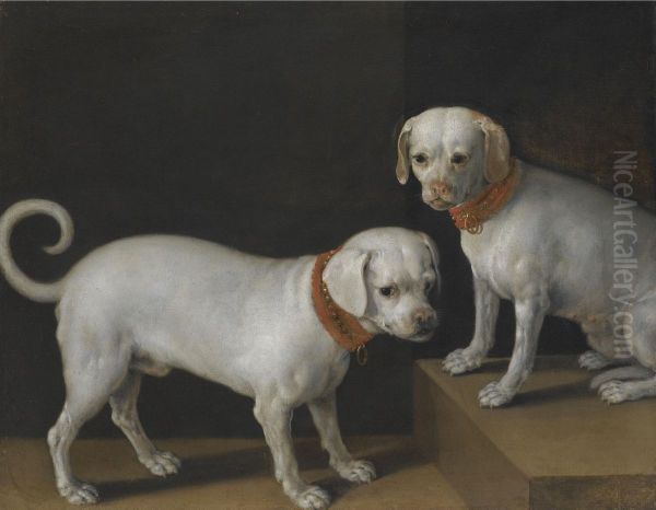 Two Dogs With Red Collars - view 1