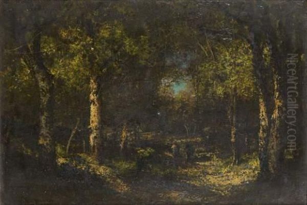 Paysage De Foret - view 1