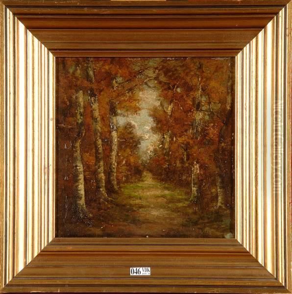 Allee En Foret - view 1