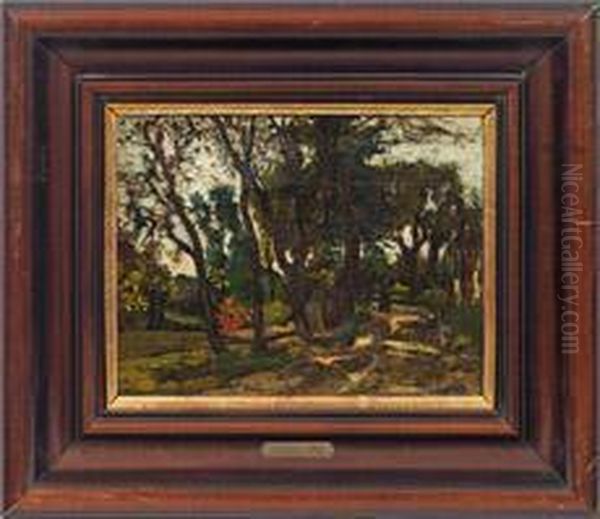 Waldlandschaft - view 1