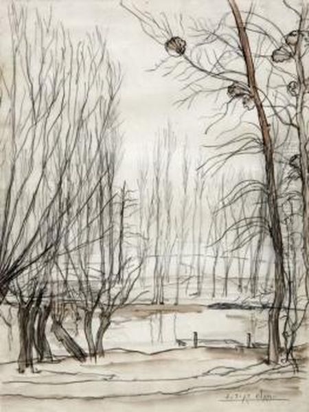 Bosque - view 1