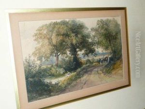 Paysage Dans La Campagne