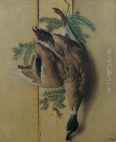 Wild Duck - view 1