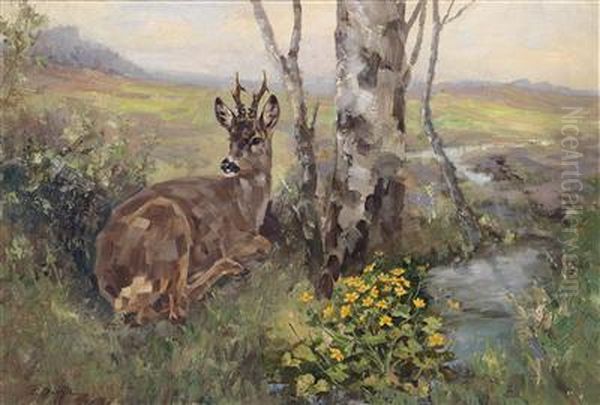 Roebuck And Marsh Marigolds - view 1