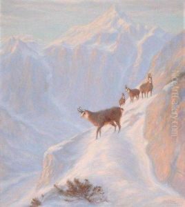 Chamois Dans La Neige by Erich Dichtl