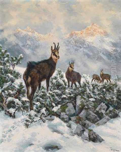 Gemsen Im Winter - view 1