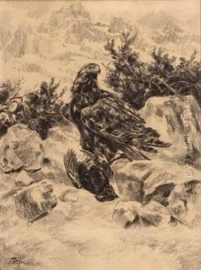 "adler Mit Geschlagenem Vogel" by Erich Dichtl
