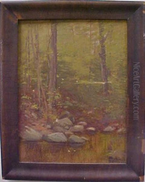 Forest And Pond Scene - view 1