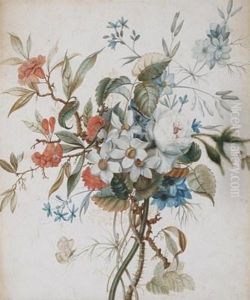 Still Lifes Of Flowers And Insects