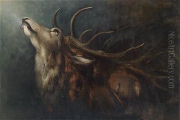 "dying Stag" - view 1