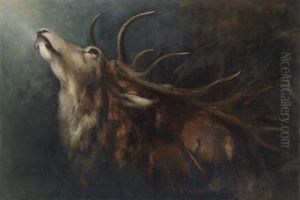 "dying Stag"
