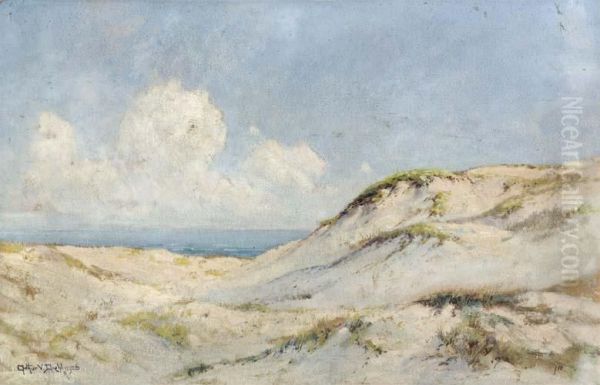 Untitled (dunes) - view 1