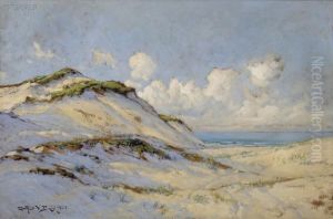 Ocean Dunes by Arthur Vidal Diehl