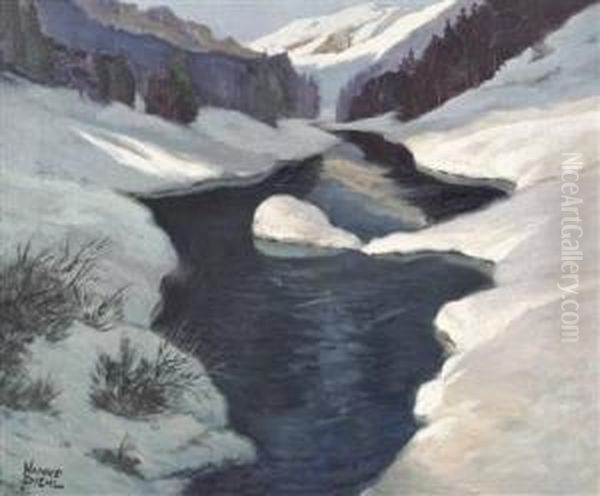 Gebirgstal Im Winter - view 1