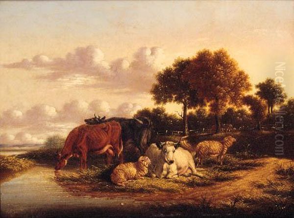 Cattle And Sheep Grazing In Extensive Landscapes - view 1