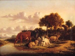 Cattle And Sheep Grazing In Extensive Landscapes