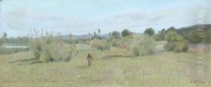 Paysage Paysage