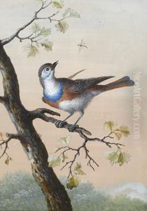 A Bluethroat by Barbara Regina Dietzsch