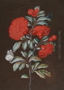 Red Chrysanthemums With A Chequered Bluebutterfly