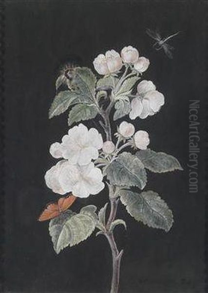 Paar Blumenstudien: Apfelbluten Mit Schmetterlingen; Weise Hyacinthen Mit Schmetterling - view 1