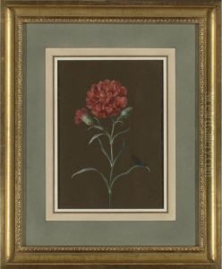 A Carnation With Fly by Margaretha Barbara Dietzsch