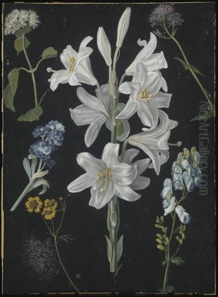 Une Branche De Lys Blancs Entouree De Fleurs Jaunes, Bleues Et Roses - view 1