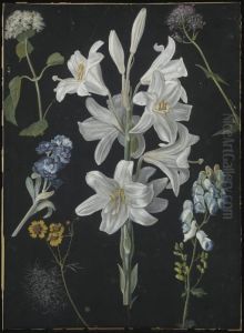 Une Branche De Lys Blancs Entouree De Fleurs Jaunes, Bleues Et Roses