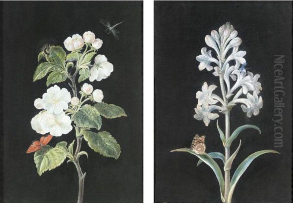 A Pair Of Studies Of Flowers And Insects: Apple Blossom And Another White Flower, With Butterflies And Dragonflies - view 1