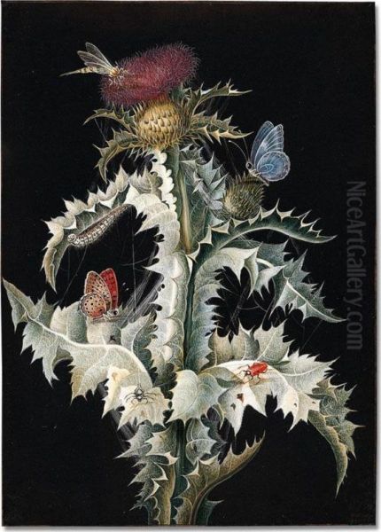 A Thistle With Cobwebs And A Dragonfly, Two Butterflies, A Beetle And A Spider - view 1