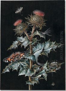 A Thistle With Two Buds, With Cobwebs, A Butterfly, A Large Caterpillar, A Spider And Two Other Insects by Margaretha Barbara Dietzsch