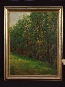 Waldrand Mit Wiese by Hugo Diez