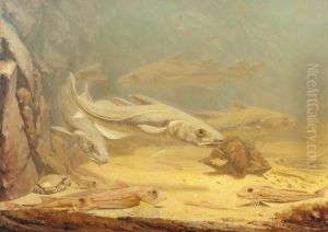 Sea Life by Gerrit Willem Dijsselhof
