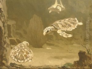Schildpadden: Turtles by Gerrit Willem Dijsselhof